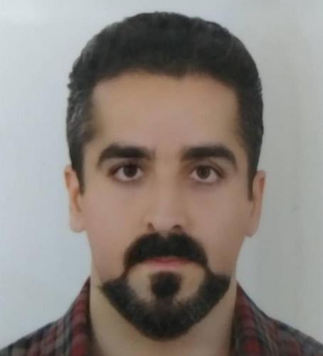 تصویر دکتر علیرضا نوروزی