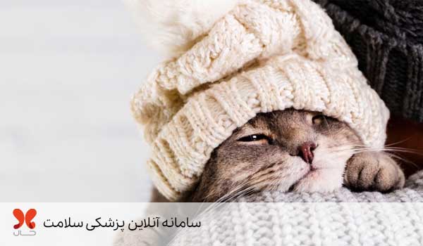 علائم سرماخوردگی گربه