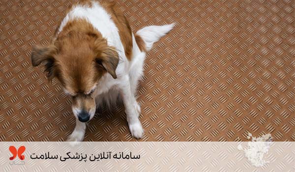 علائم مسمومیت سگ با غذا