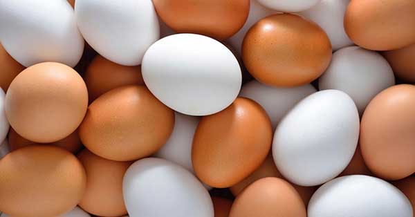 تخم مرغ برای کم خونی در بارداری