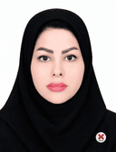 پرستو ابراهیمی