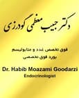تصویر دکتر حبیب معظمی گودرزی