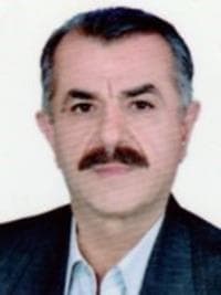 تصویر دکتر رضا حسنی