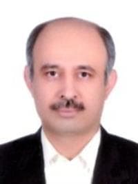 تصویر دکتر حمیدرضا ریاضی بوانی