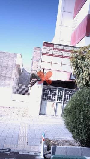 دکتر حبیب اله سلوکی